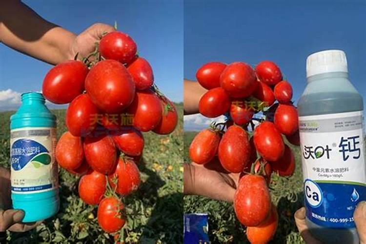 海南果树蔬菜水溶肥怎么用效果好？