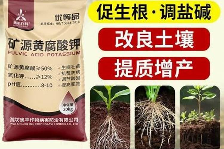 钾肥一亩地上多少