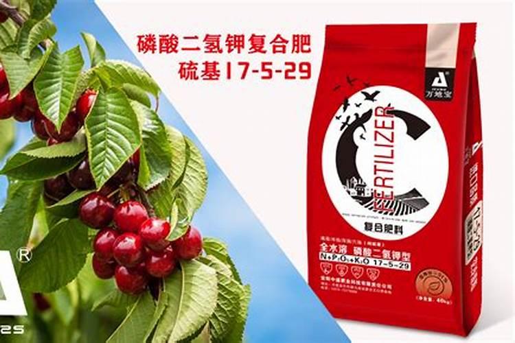 樱桃树春季施什么肥料
