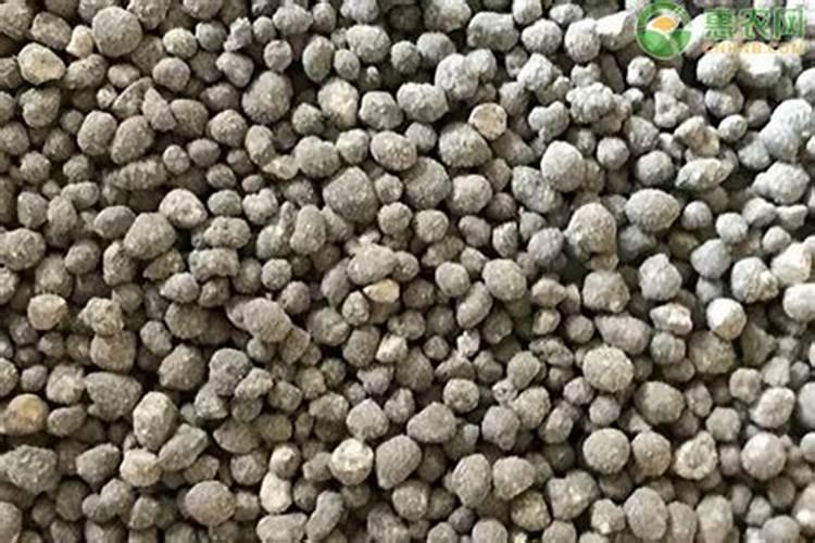 磷肥是指哪些肥料