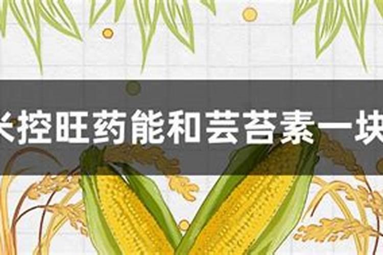 芸苔素可以和农药一块打油菜吗？