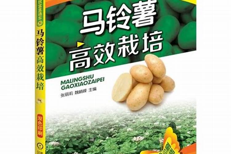 土豆施肥技术要点 马铃薯施肥技术要点