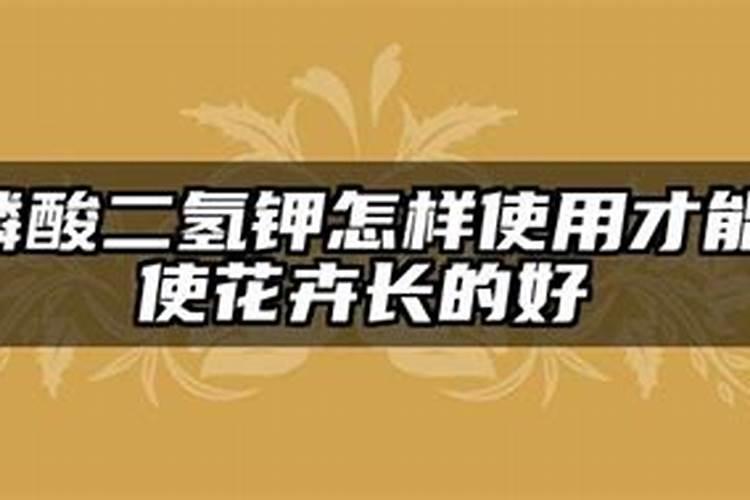 磷酸二氢钾怎样使用才能使花卉长的好(家庭养花如何施肥)