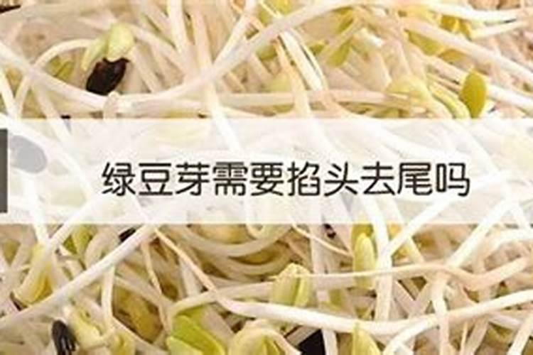 绿豆芽怎么发又粗又快不长根