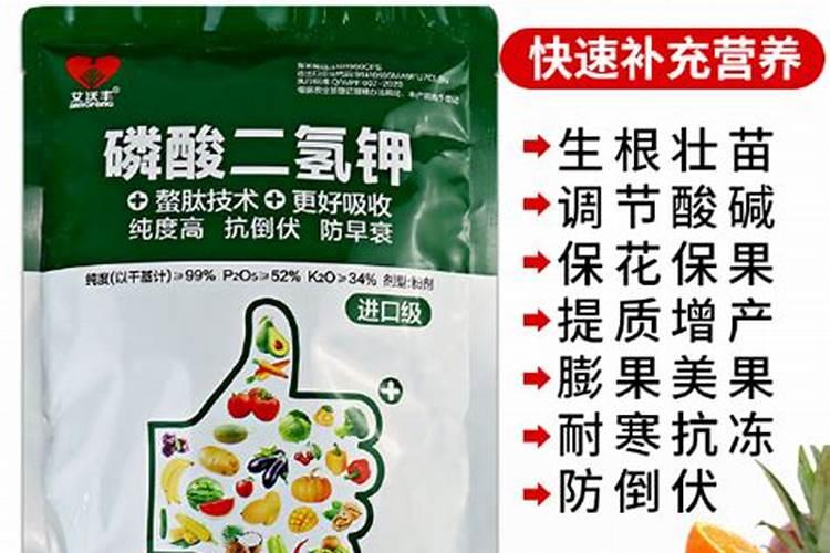 果树放钾肥还是磷肥好些？