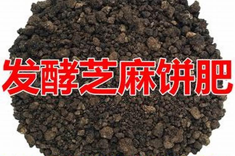 芝麻饼发酵后是什么肥？