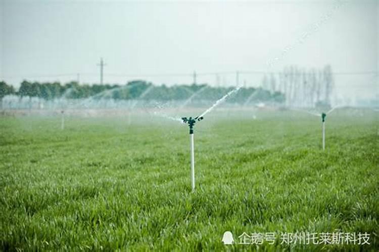 您好,我想了解一下滴灌技术。