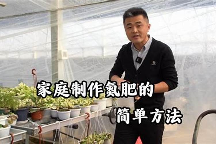 简单自制氮肥的具体方法是什么
