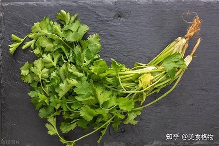 香菜用什么土方法施肥最好