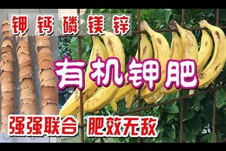 香蕉皮做肥料