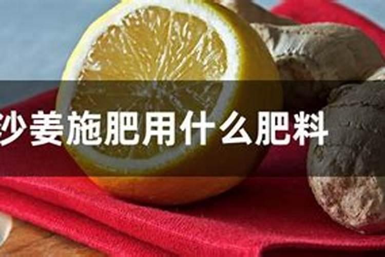 沙姜施肥用什么肥料
