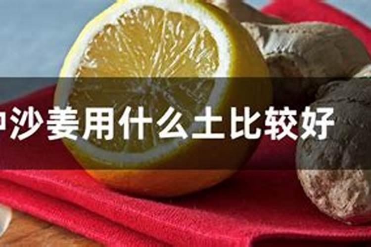 种沙姜用什么土比较好