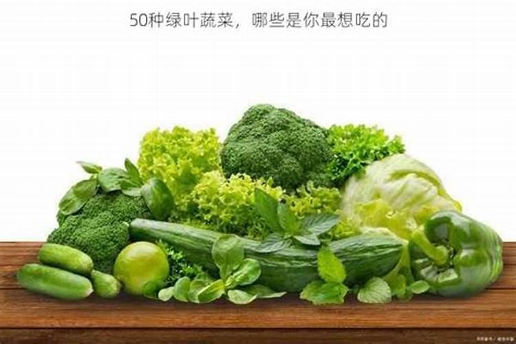 想要做蔬菜种植基地,有什么好的肥料推荐吗？