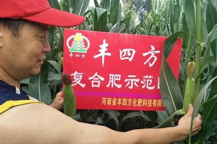 丰四方在河南排第几