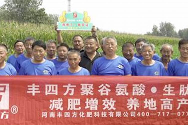 丰四方肥料效果怎么样