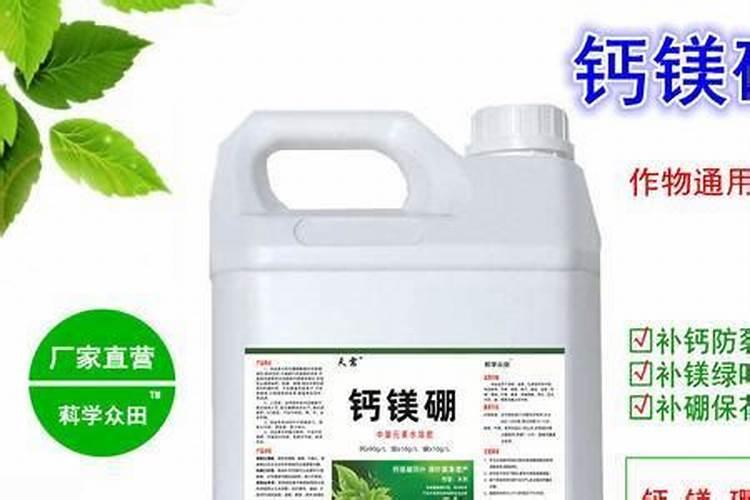 流态硼可以浇根吗