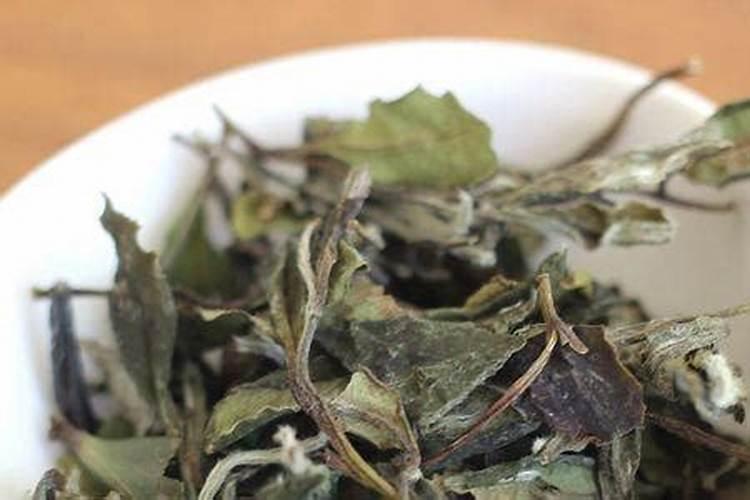 烂菜叶泡水多久变肥料