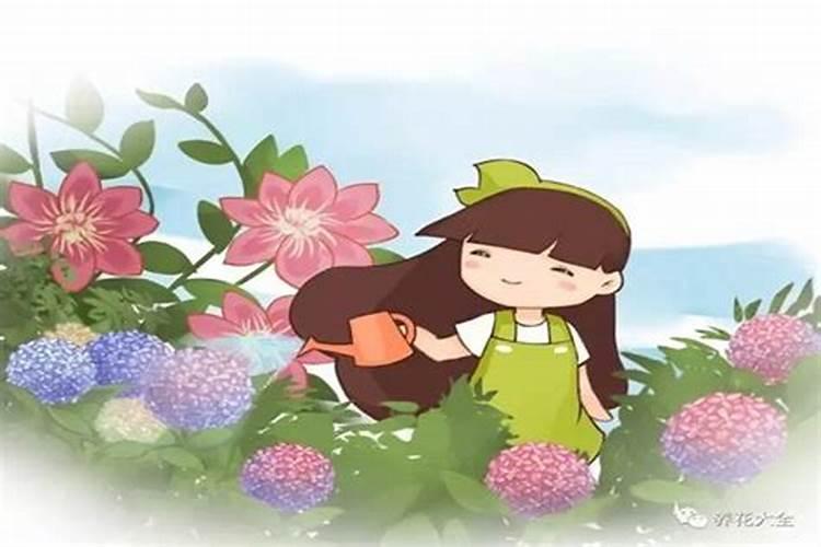叶面喷点儿这个,再也不用施肥了!