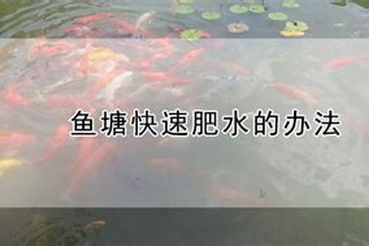 鱼塘快速肥水的办法
