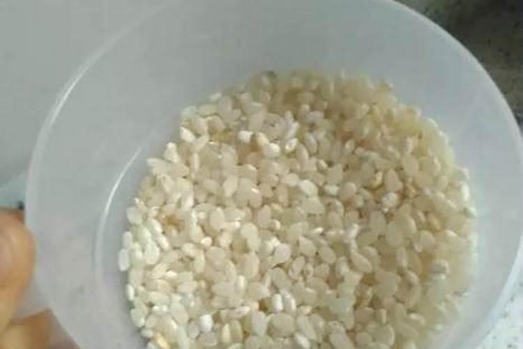 陈大米用锅炒焦埋在花盆里当氮肥行么