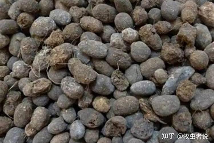 谁知道1立方羊粪是多少吨