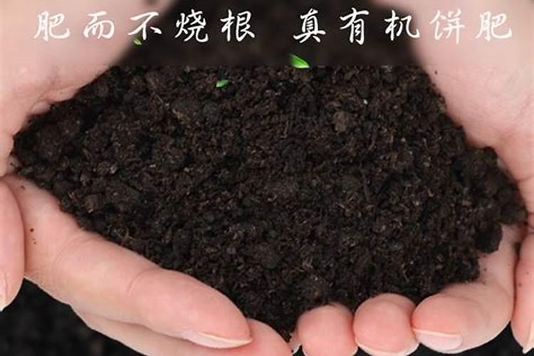 油枯肥料里面含什么元素多？