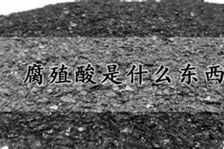 化妆品腐殖酸是什么东西做的？