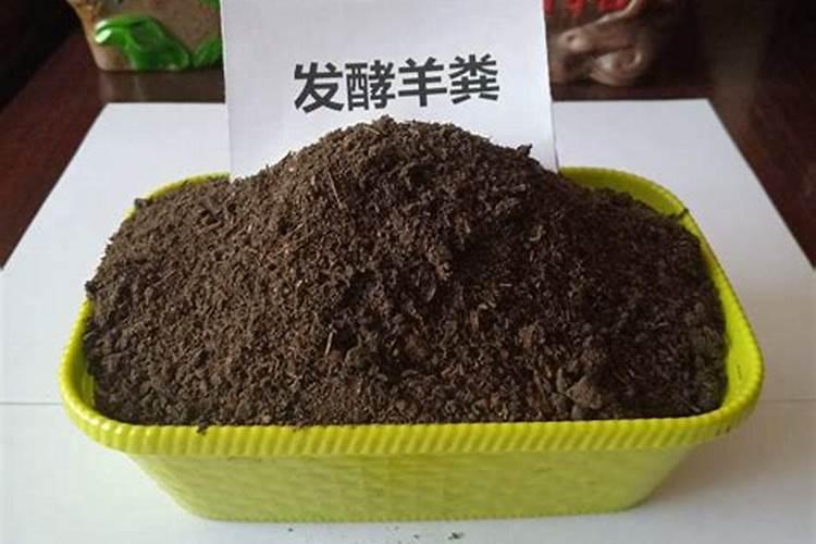 羊粪多少天施肥一次