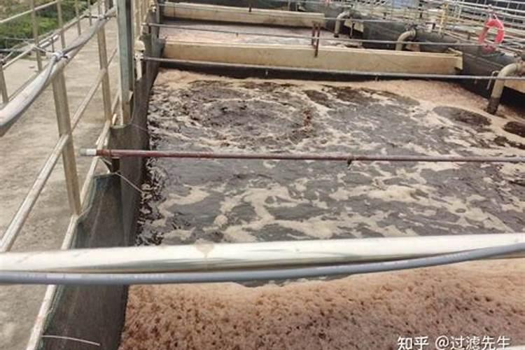 在污水处理中好氧池里氮,磷,钾,比例怎么加