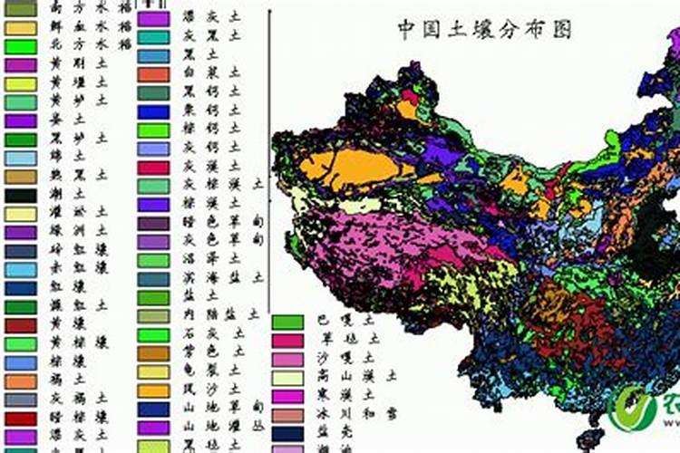 土地中量元素有哪些类型？