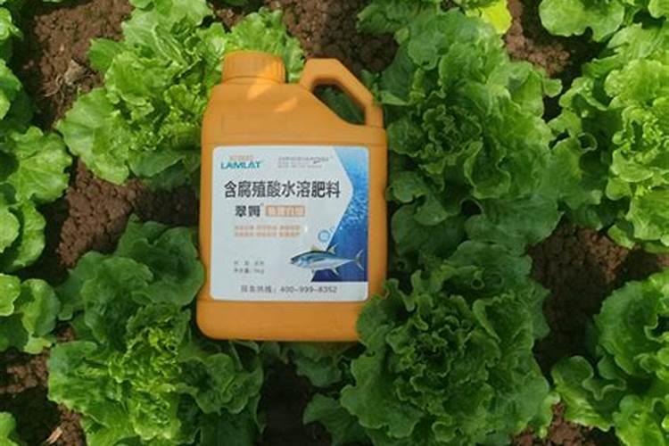 翠姆水溶肥怎样用效果最好？
