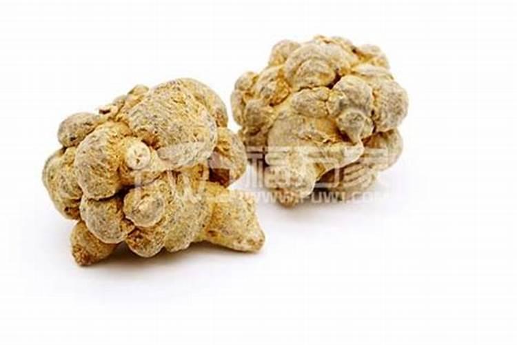三七在浙江可以种植吗？