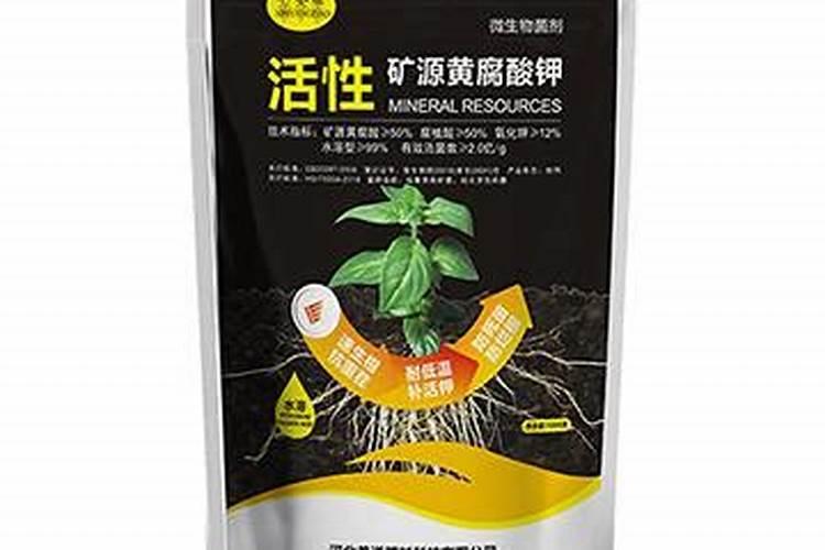 养道肥料怎么样