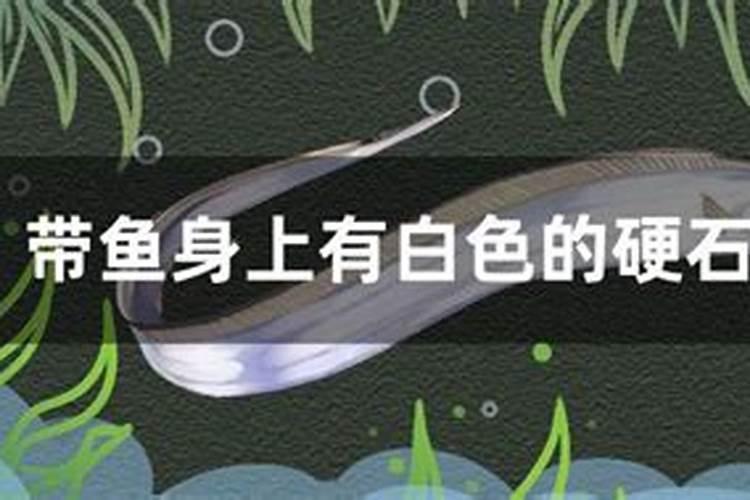 鱼眼里有白色的硬珠子