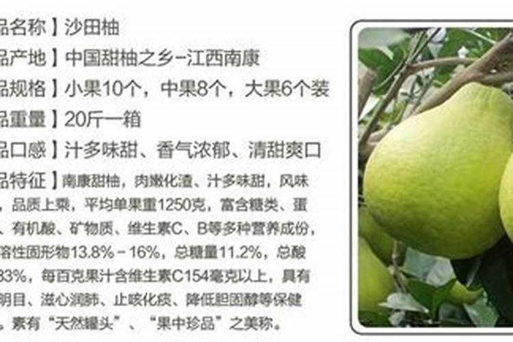种植南冲沙田柚主要的地理要求和技术要求？