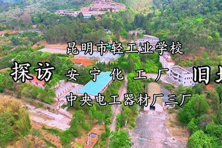 云南化工厂有哪些