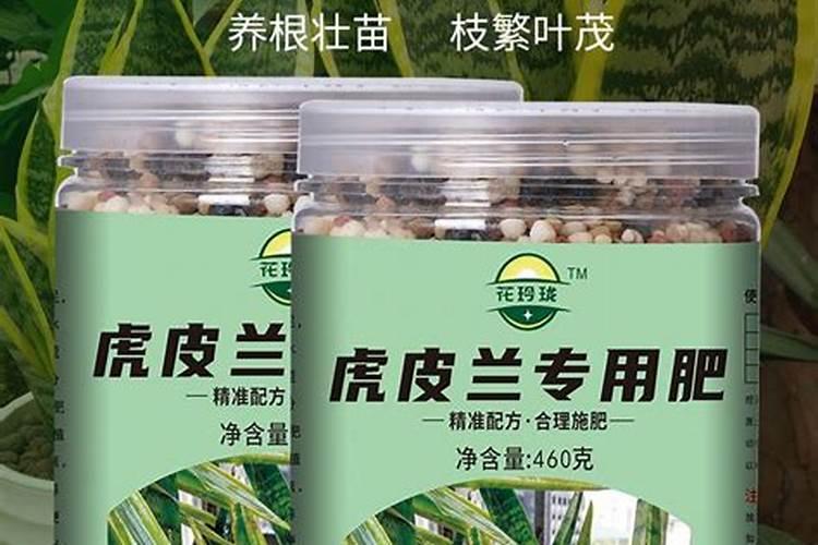 法师用什么肥料叶片又厚又肥