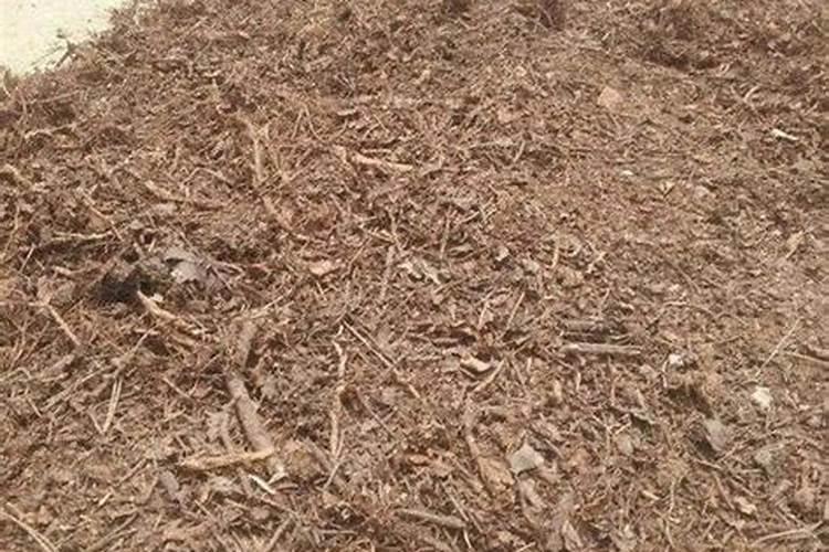 多肉植物用什么肥料比较好