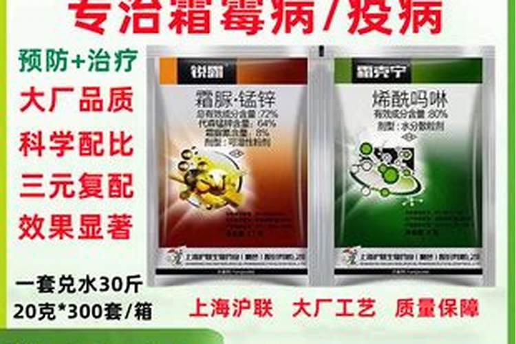 霜霉病专用长效药