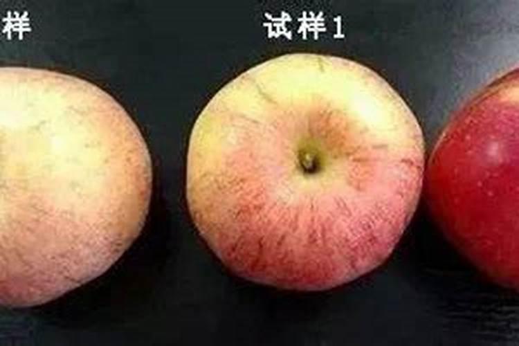苹果上色慢怎么办 苹果着色不好怎么办
