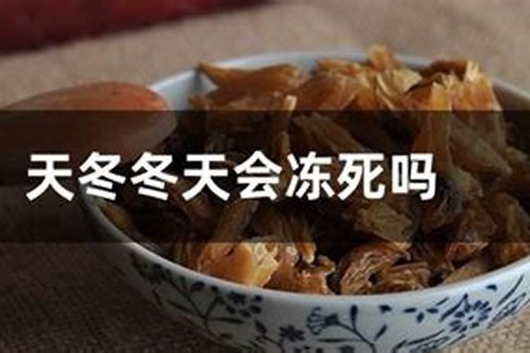 珍珠鸡冬天西南会冻死吗