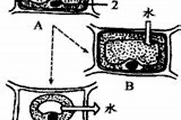 给庄稼施肥的作用主要是给植物的生长提供无机盐.
