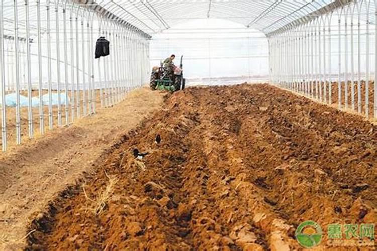 酸性土壤改良方法用什么肥