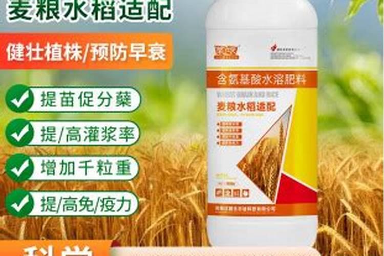 山西小麦水溶肥批发价格多少？
