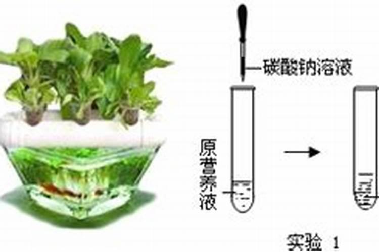 无土栽培硫酸钾跟磷酸二氢钾可以混合加在同一个母液桶里滴灌施肥吗？会...