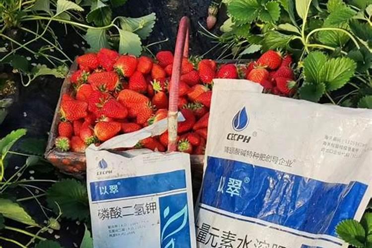 做叶面肥代理的前景咋样？