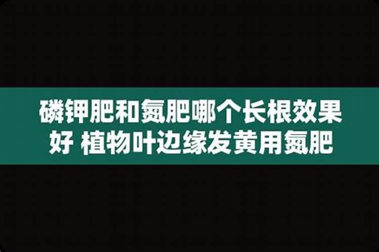 钾肥上底肥好还是下底好呢？