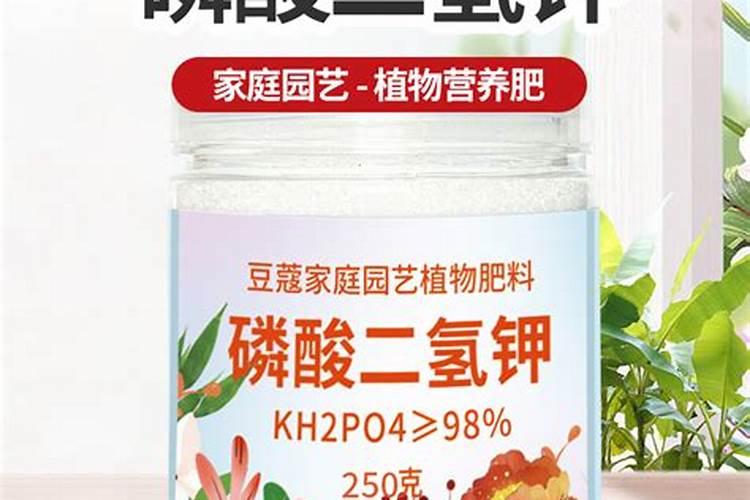 磷酸二氢钾可以给所有花卉灌根和叶面喷施吗？