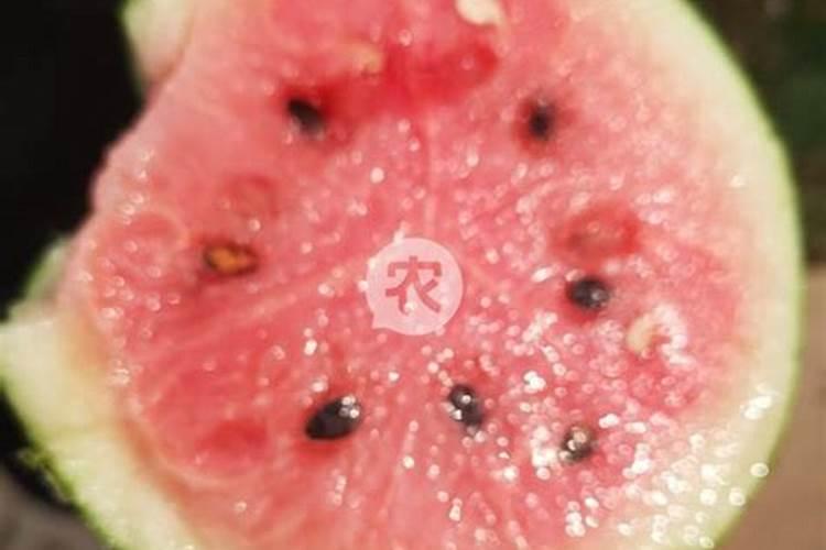 怎样解决西瓜厚皮
