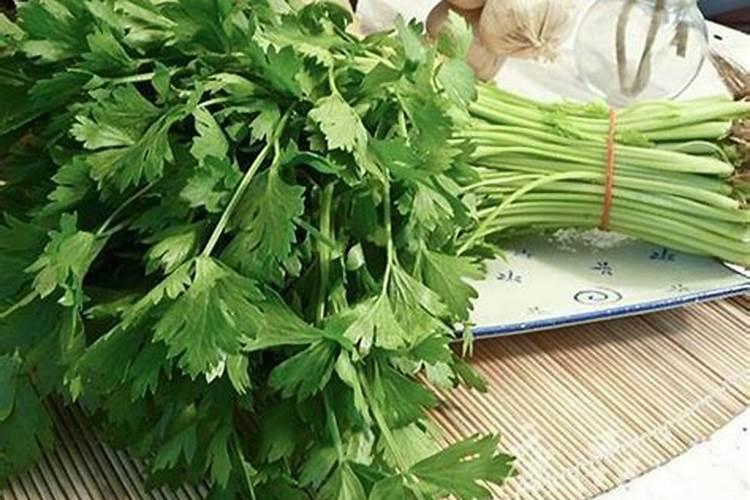 香芹的种植方法及技术要点